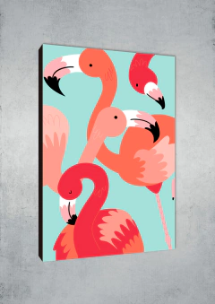 Flamencos 73 - MetaXroma