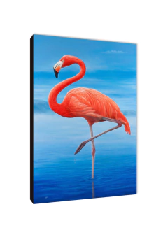 Flamencos 86 - comprar online