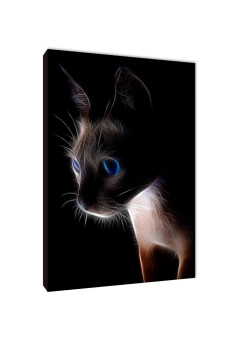 Gatos 4 - comprar online