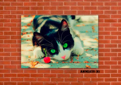 Gatos 6 - tienda online