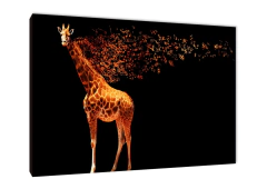 Jirafas 10 - comprar online