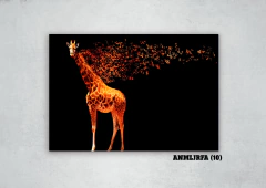 Jirafas 10 en internet