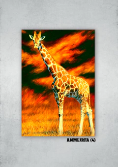 Jirafas 4 en internet