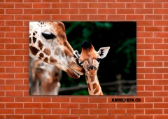 Jirafas 5 - tienda online