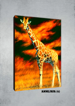 Jirafas 4 - MetaXroma