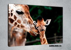 Jirafas 5 - MetaXroma