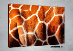 Jirafas 9 - MetaXroma