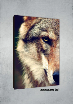 Lobos 10 - MetaXroma