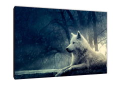 Lobos 12 - comprar online