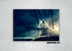 Lobos 12 en internet