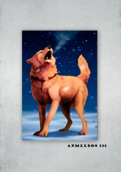 Lobos 131 en internet