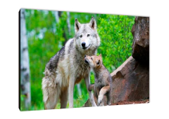 Lobos 133 - comprar online