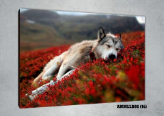 Lobos 14 - MetaXroma