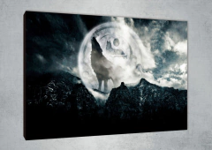 Lobos 37 - MetaXroma