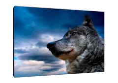 Lobos 43 - comprar online