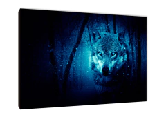 Lobos 51 - comprar online