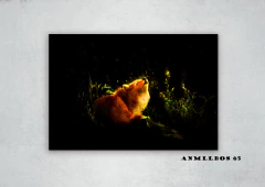 Lobos 65 en internet