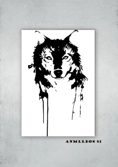 Lobos 81 en internet