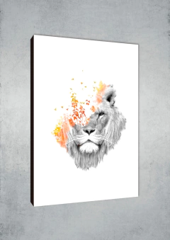 Leones 152 - MetaXroma