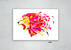 Leones 159 en internet