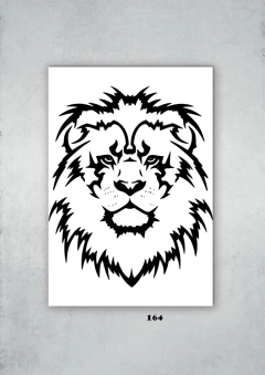 Leones 164 en internet