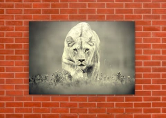 Leones 184 - tienda online