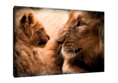 Leones 207 - comprar online