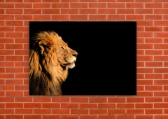 Leones 222 - tienda online