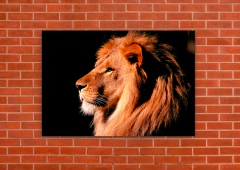 Leones 53 - tienda online