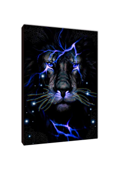 Leones 96 - comprar online