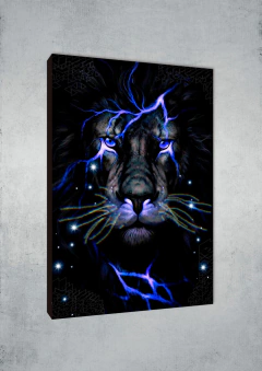 Leones 96 - MetaXroma