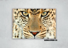 Leopardos 9 en internet