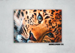 Leopardos 11 en internet