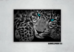 Leopardos 5 en internet