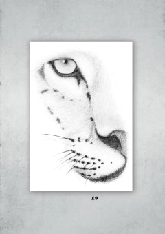 Leopardos 19 en internet