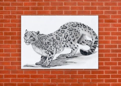 Leopardos 20 - tienda online