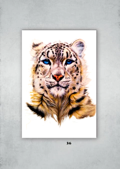 Leopardos 36 en internet