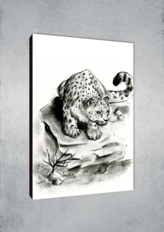 Leopardos 50 - MetaXroma