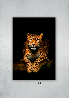 Leopardos 64 en internet