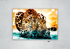 Leopardos 67 en internet