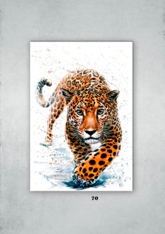 Leopardos 70 en internet