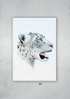 Leopardos 71 en internet