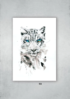 Leopardos 72 en internet