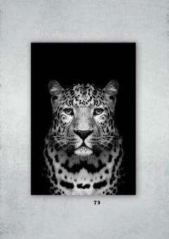 Leopardos 73 en internet