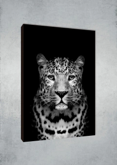 Leopardos 73 - MetaXroma