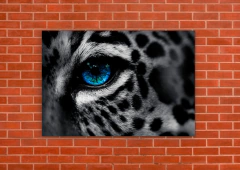 Leopardos 76 - tienda online