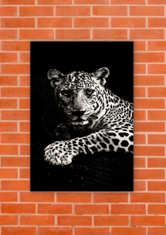 Leopardos 79 - tienda online