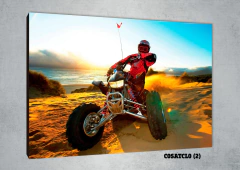 Cuatriciclos 2 - comprar online