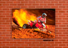 Cuatriciclos 4 en internet