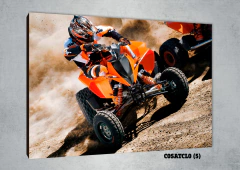 Cuatriciclos 5 - comprar online